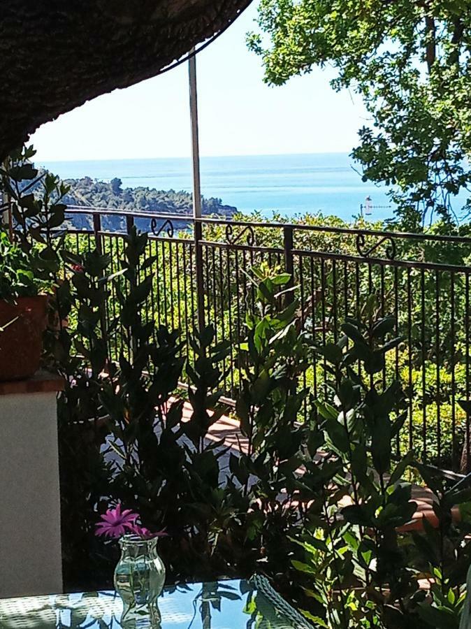 B&B La Casa Del Gelso 阿夸夫雷达 外观 照片