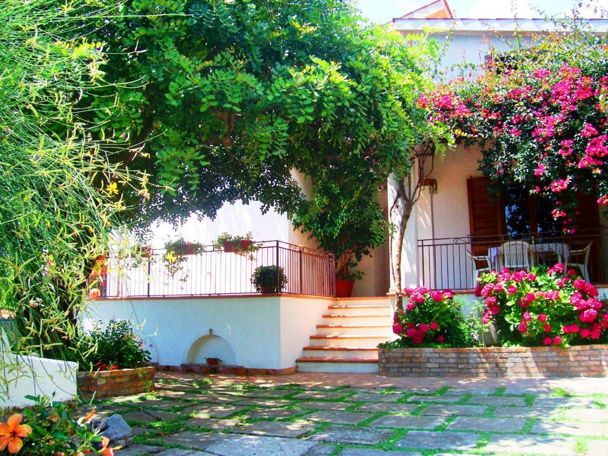 B&B La Casa Del Gelso 阿夸夫雷达 外观 照片