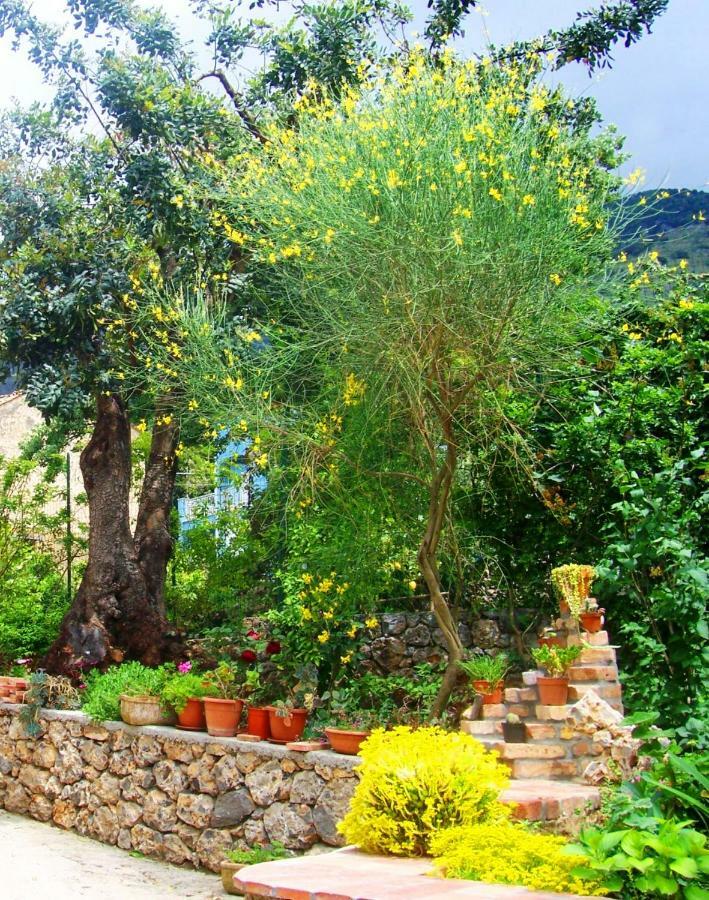 B&B La Casa Del Gelso 阿夸夫雷达 外观 照片