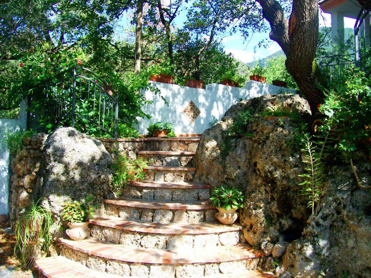 B&B La Casa Del Gelso 阿夸夫雷达 外观 照片