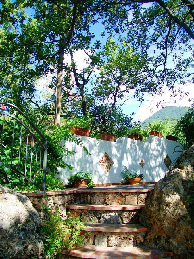 B&B La Casa Del Gelso 阿夸夫雷达 外观 照片
