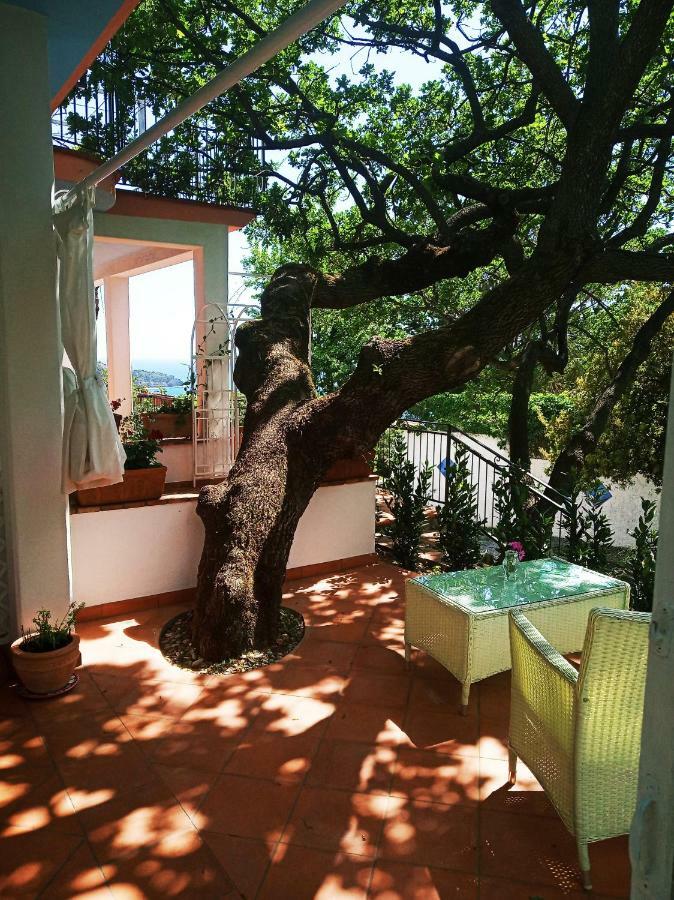 B&B La Casa Del Gelso 阿夸夫雷达 外观 照片