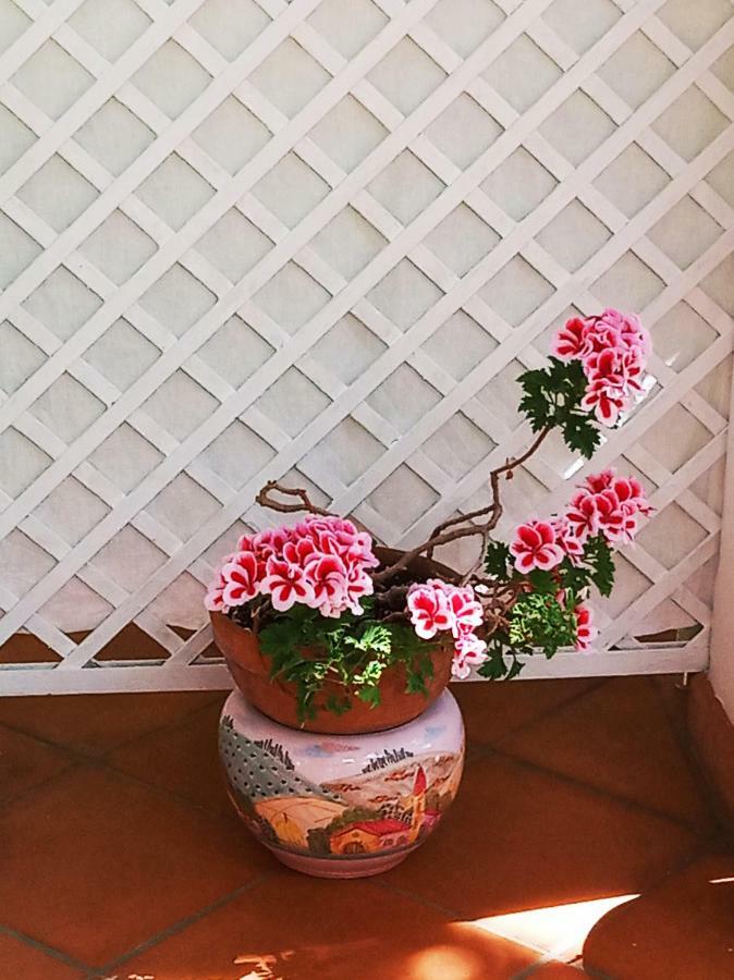 B&B La Casa Del Gelso 阿夸夫雷达 外观 照片