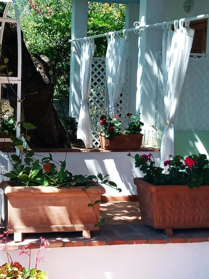 B&B La Casa Del Gelso 阿夸夫雷达 外观 照片